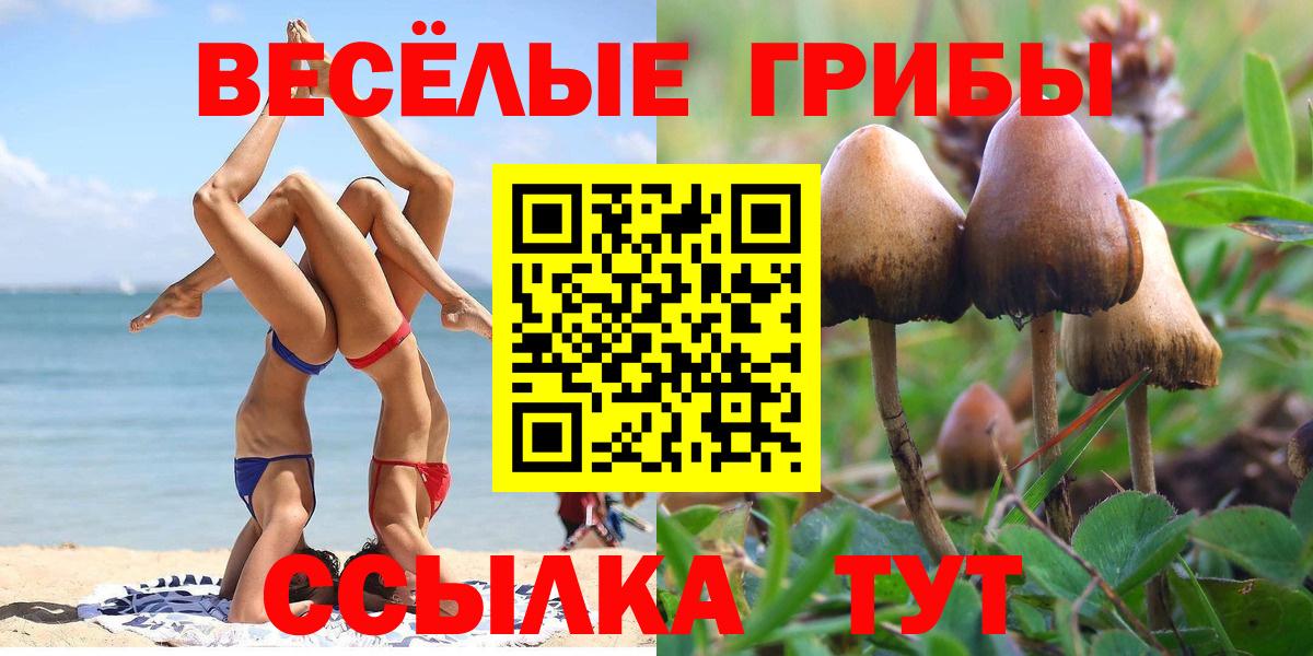 Галлюциногенные грибы Cubensis  наркота  Псилоцибиновые грибы Magic Shrooms  Гудермес  Вход с VPN 