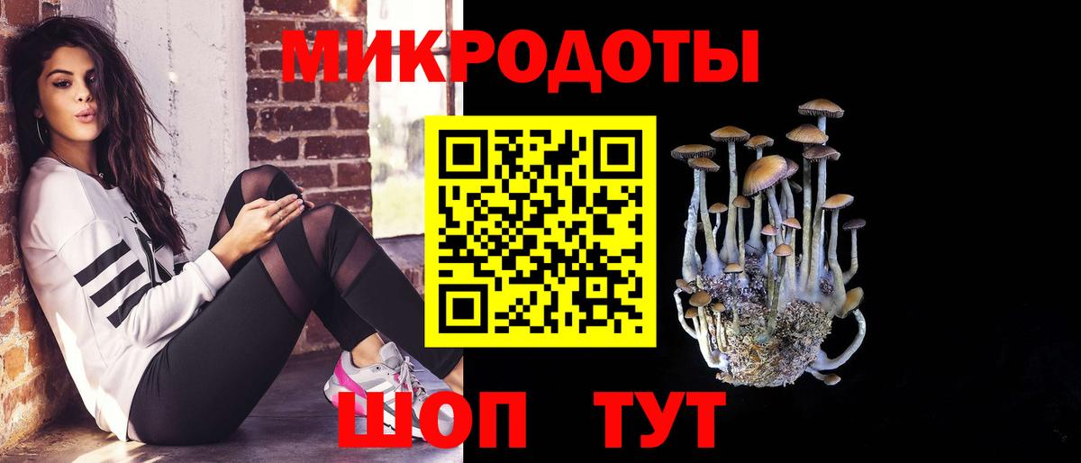 Псилоцибиновые грибы Magic Shrooms Гудермес